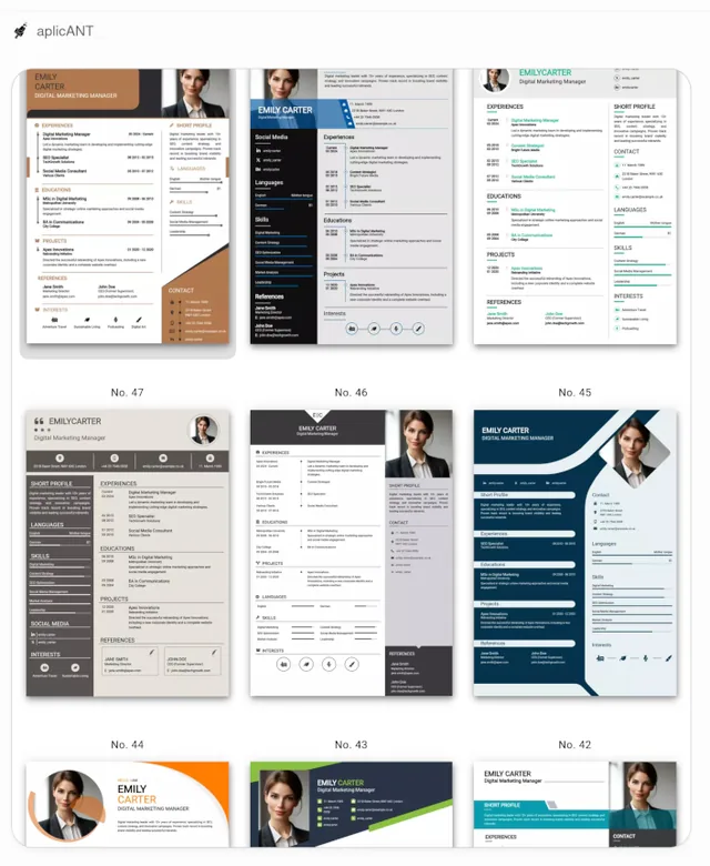 aplicANT screenshot