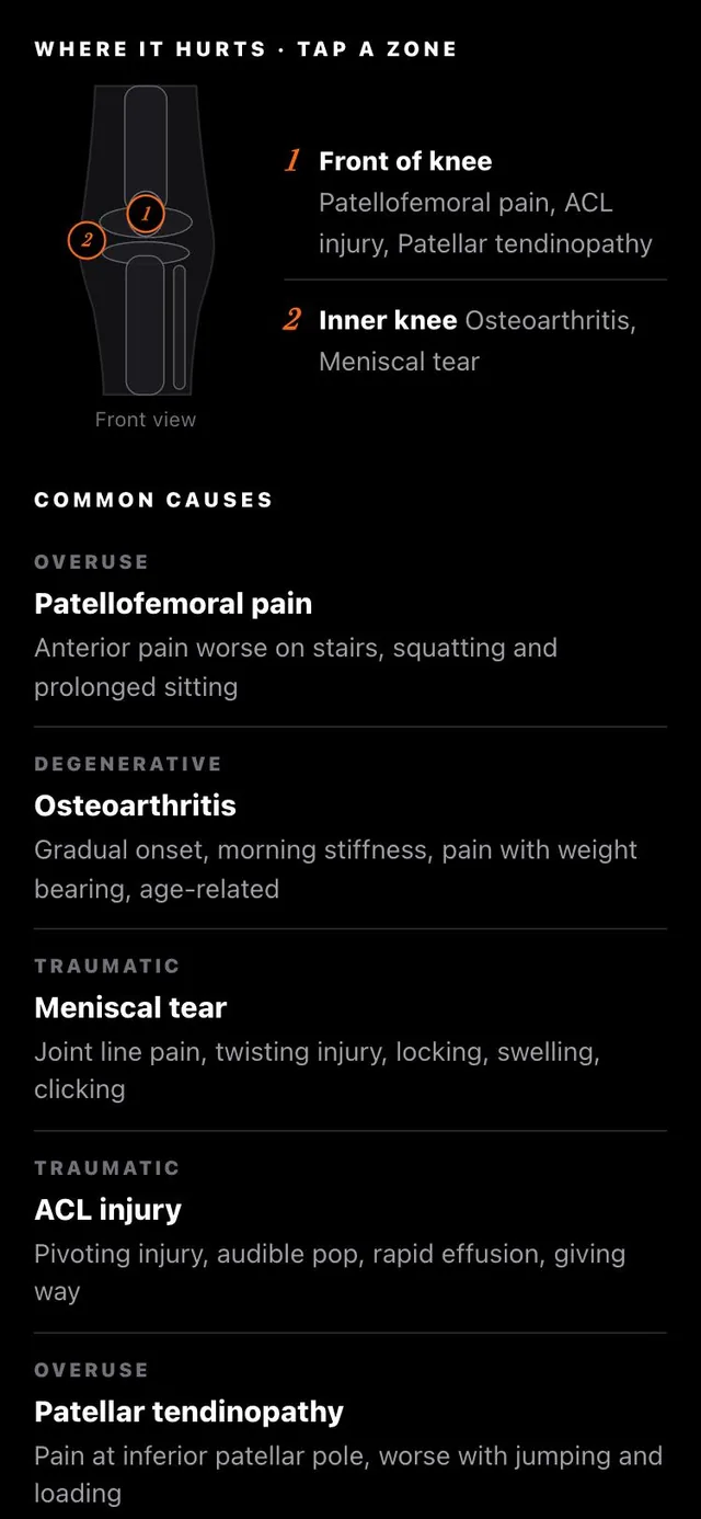 PhysioAI screenshot