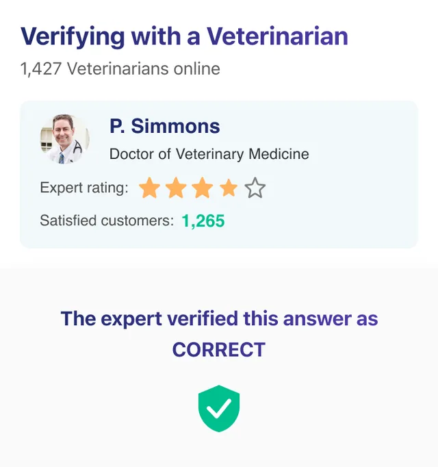 Pearl Pet Care screenshot