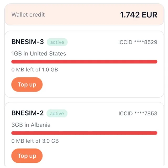 BNESIM screenshot