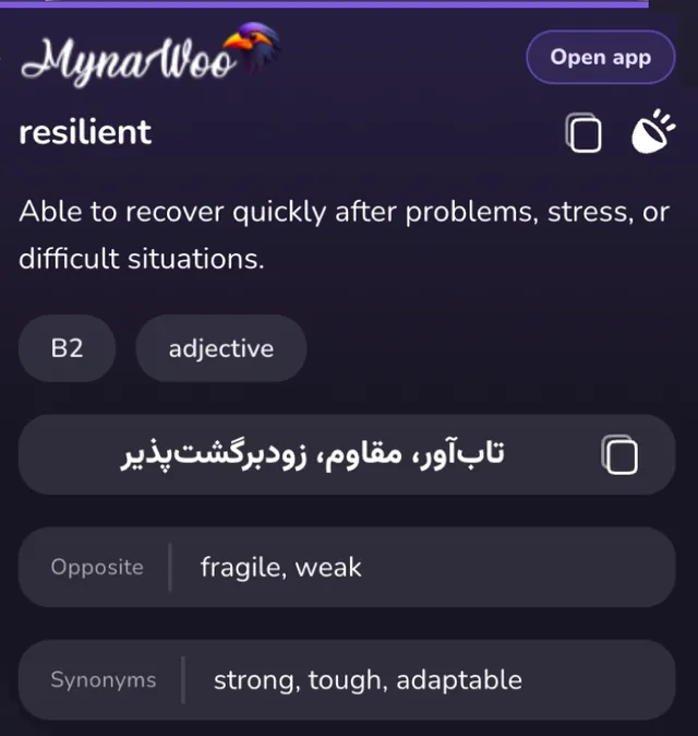 Mynawoo AI Language Tutor screenshot