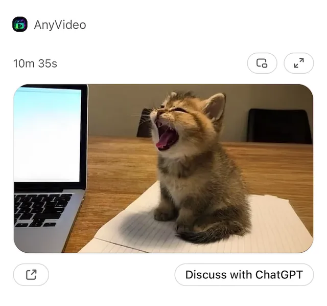 anyVideo screenshot